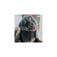 Ainhoa Merino Durantez