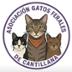 Asoc. Gatos Ferales de Cantillana