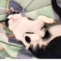 Brigitte  Mocka-Binn