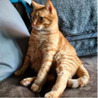 Garfield Mateos Rubio