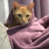 Rosa Maria Mora Muñoz