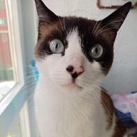 Sara Abuín Rodríguez