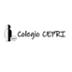 COLEGIO DE EDUCACIÓN  ESPECIAL CEPRI