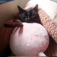 Cristina Almendros Ros