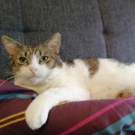 Marylène  SZYMANSKI