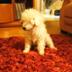 New Teamer 2