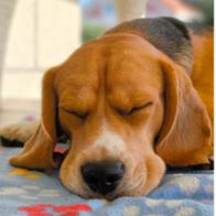 Sandra López Vázquez