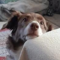 Ramona Burger-Vernau