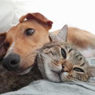 Angel Gonzalez Benito