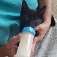 Patricia Guillemenot-Raynal