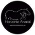 Horizonte Animal