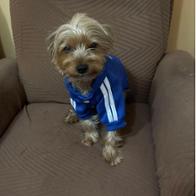 María José   Cloquell climent