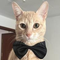 Noelia de la Piedra Guerrero