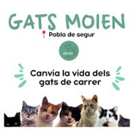 Moien Pobla