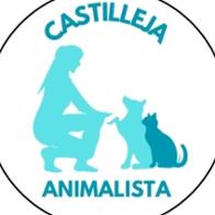 Castilleja Animalista