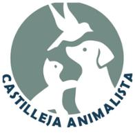 Castilleja Animalista