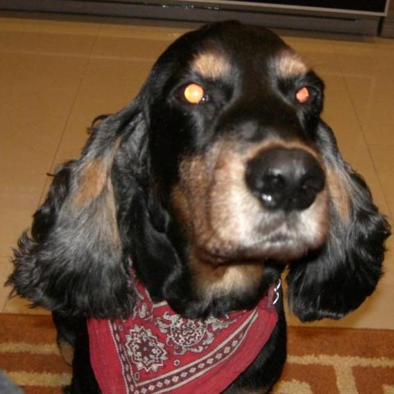 vanessa gutiérrez artés