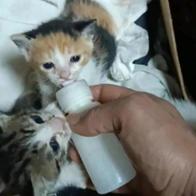 Juan Carlos Begines López