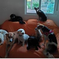 Sandra Couceiro-Greif