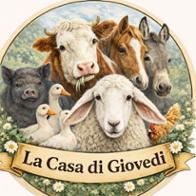 La casa di Giovedì  bucataru