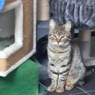 Willis Regenbogenland Peter Bergers Gnadenhof