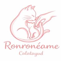 RONRONÉAME  Calatayud