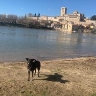 Vanessa Aliste Domínguez