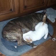 Marie-Annick LE PALUD