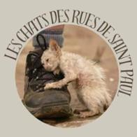 Les chats des rues  de Saint Paul