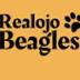Realojo Beagles