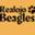 Realojo Beagles
