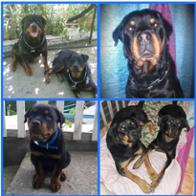 Miriam Alvarez Marcos