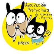 Protectora  Animales de Burgos