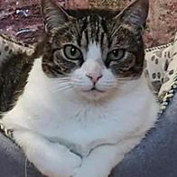 ROSA FERNANDEZ DE LA GRANA