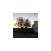 María Camila Lavayen Castañeda