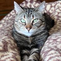 María Teresa García López