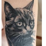 sandra nuñez castañon