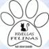 Asociacion huellas felinas