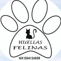 Asociacion huellas felinas