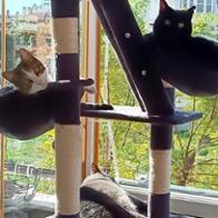 María José Martínez Martínez