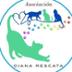 Asociación Diana Rescata