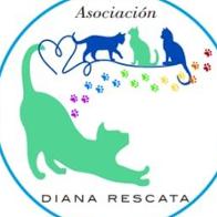 Asociación Diana Rescata