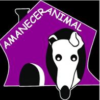 Susana Ortega Cabezas