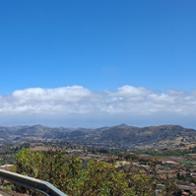 Leticia Perez Morillo