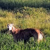 Raquel Garcia Orejudo