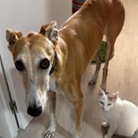 Patricia  Agudo López