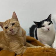 Karla Benedito bujalance