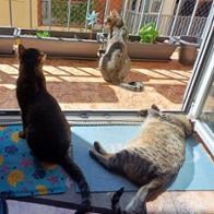 Pilar Longares Campos