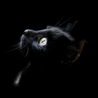 Milagros Herrero Bermejo