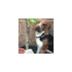 Nou Teamer 1